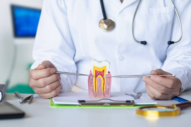 Best After-Hours Emergency Dentist in Terra Alta, WV